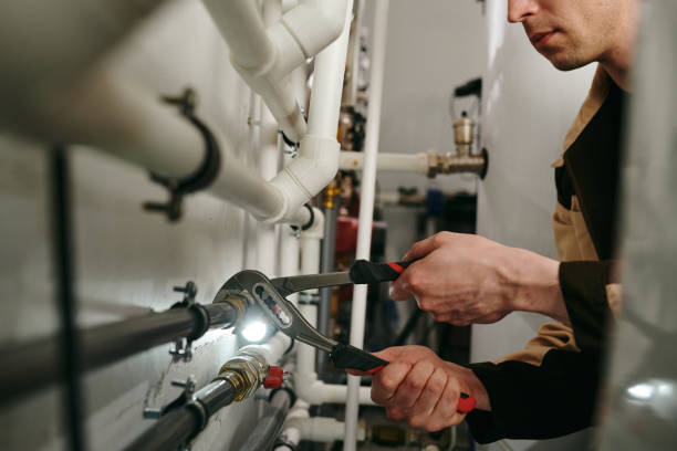 Best Affordable Plumbing Services  in Stanton, MI