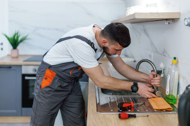 Best Commercial Plumbing Services  in Stanton, MI