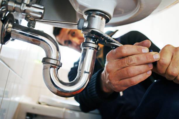 Best Shower Repair Services  in Stanton, MI