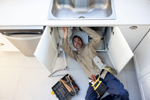 Best Same-Day Plumbing Service  in Stanton, MI