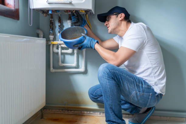 Best Plumbing Installation Services  in Stanton, MI